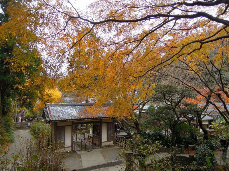 kamakura_meigetsu0306