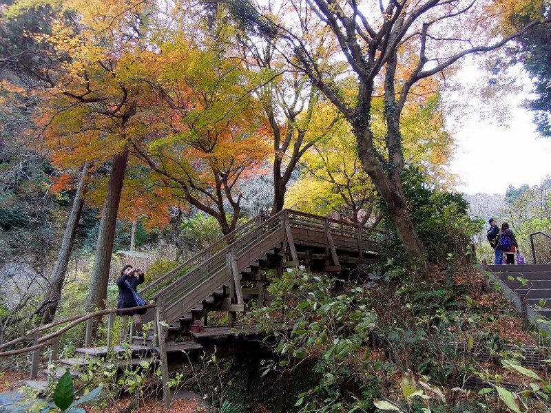 kamakura_meigetsu0307