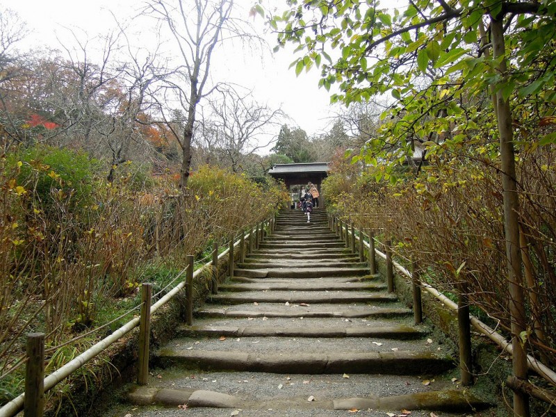 kamakura_meigetsu0308