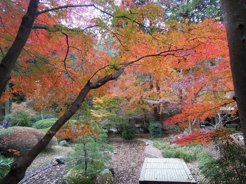 kamakura_meigetsu0406