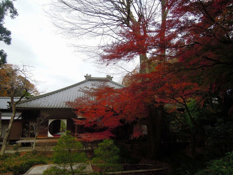 kamakura_meigetsu0407