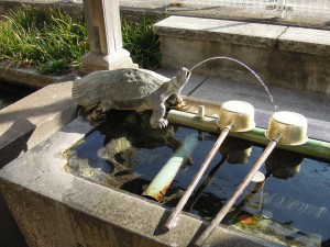 木更津 白弁天 厳島神社 手水舎 亀