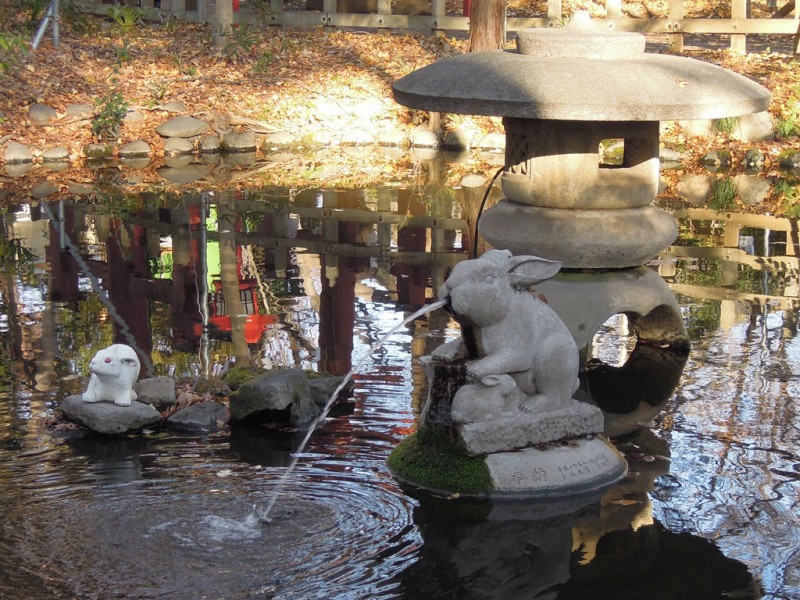 調神社 2014年 初詣 境内池 噴水の兎像