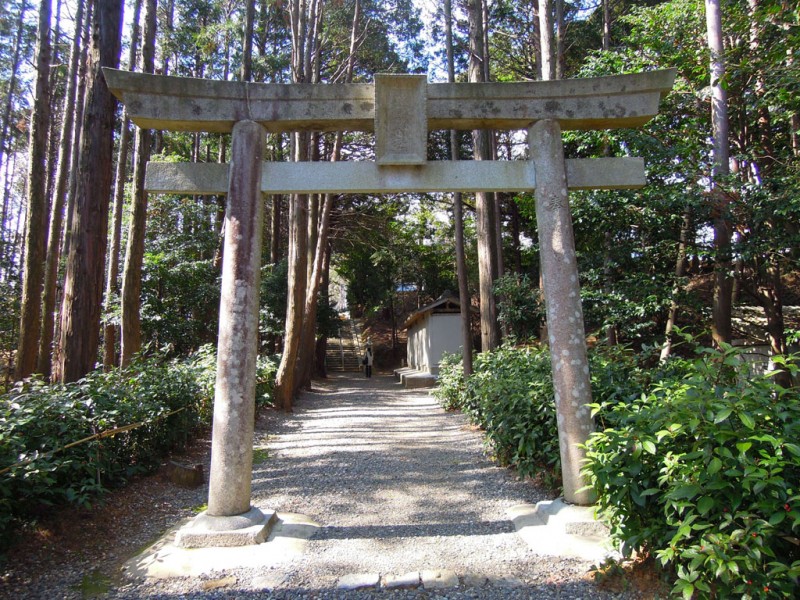 菟頭神社 参道 鳥居