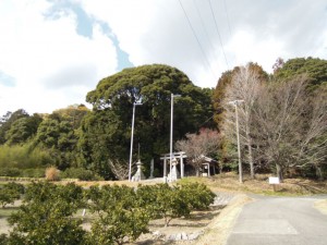 相楽神社（兎上神社） 社叢