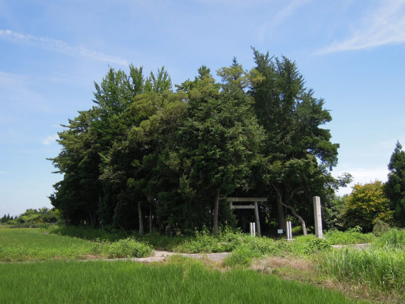 神明社 社叢