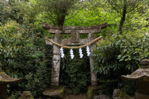 宇佐神宮 大元神社