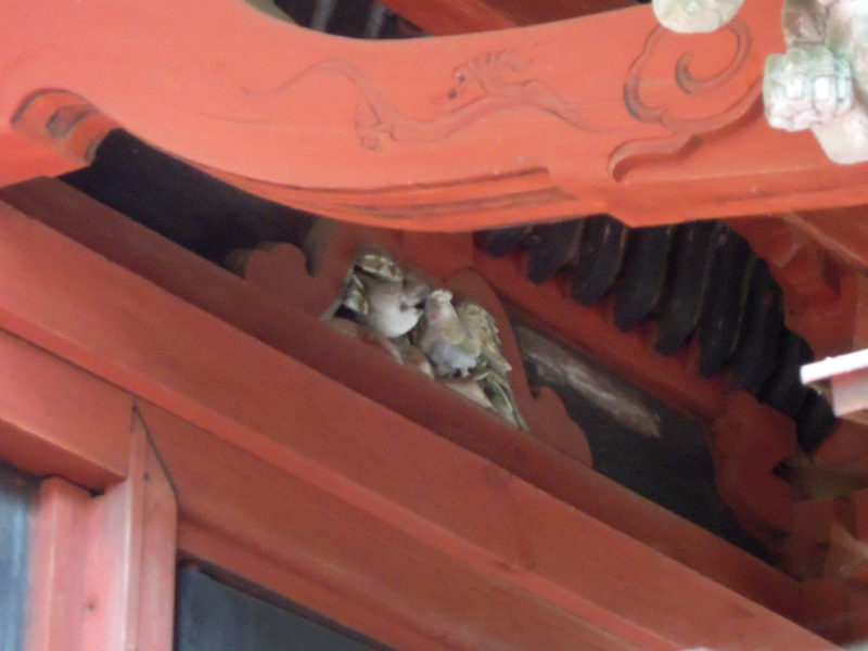 台方麻賀多神社 本殿 酉