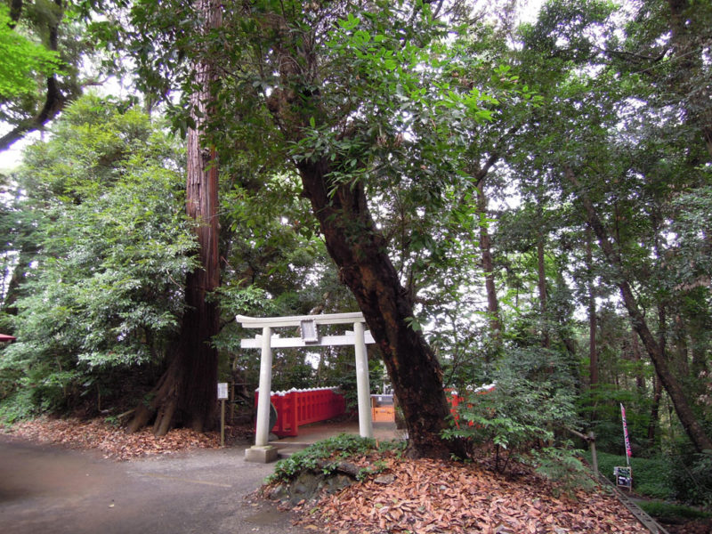 台方麻賀多神社 天日津久神社