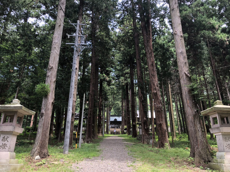 新海三社神社 参道