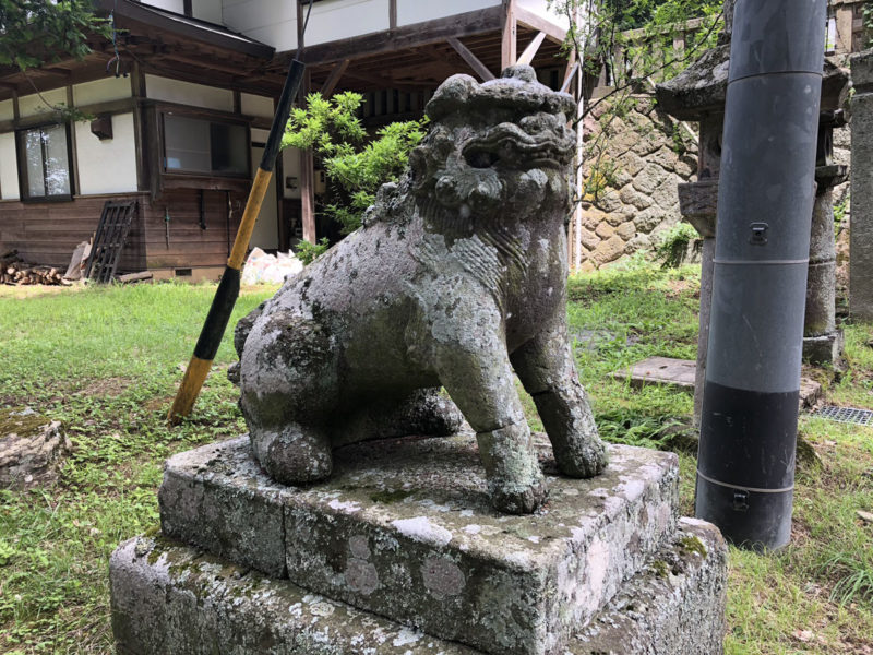 新海三社神社 狛犬