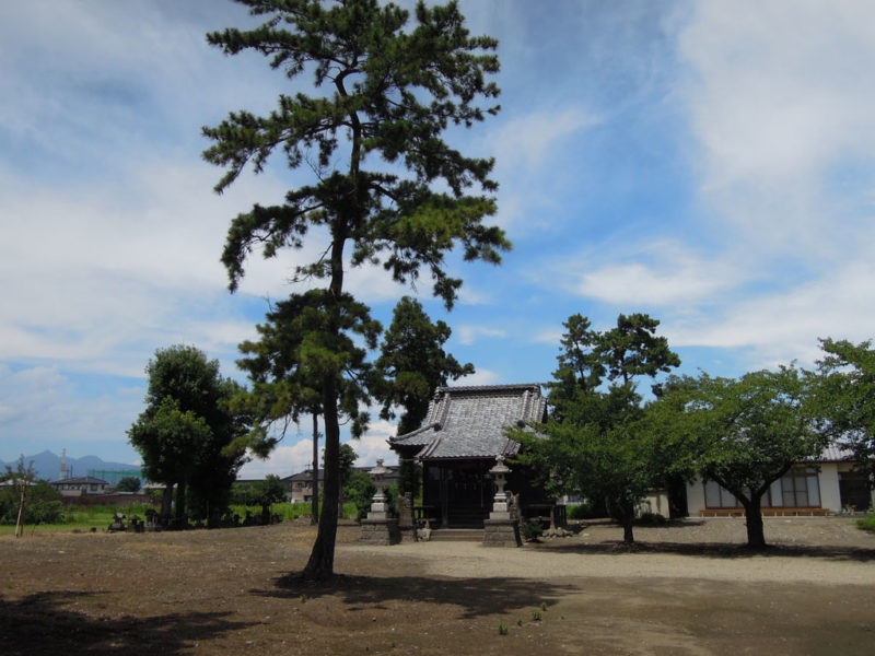 和泉神社(京目町) 境内