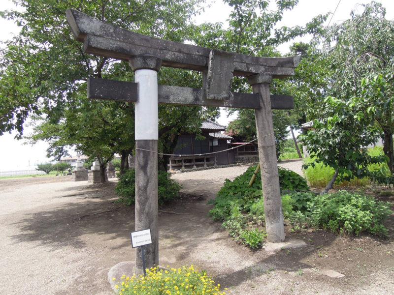 和泉神社(京目町) 鳥居