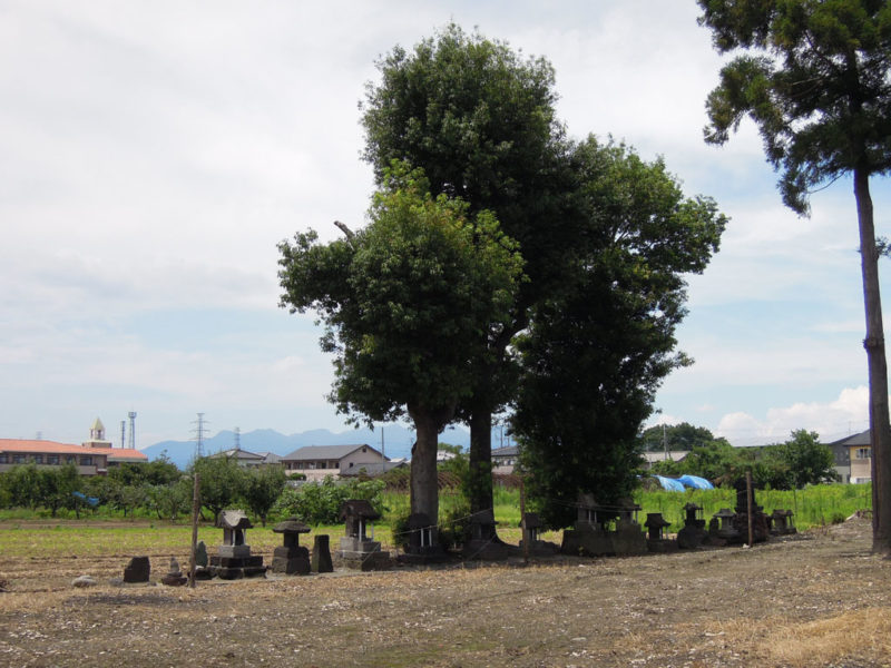 和泉神社(京目町) 石祠群