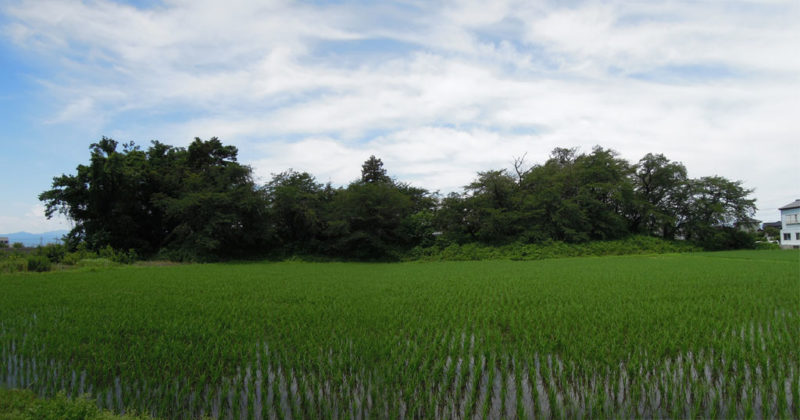 島名神社（元島名町）将軍塚古墳