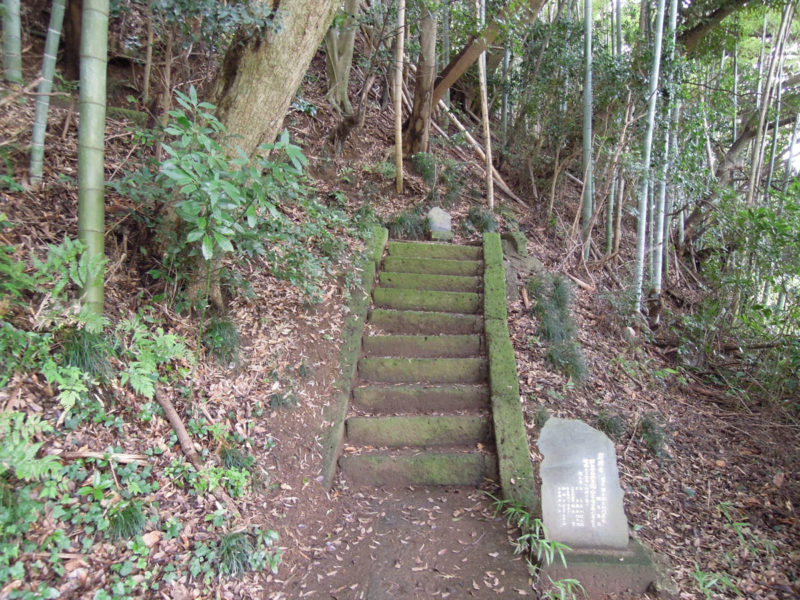 星神社（大生城）階段