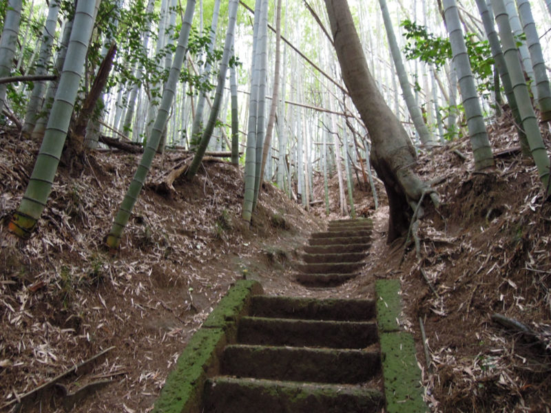 星神社（大生城）階段