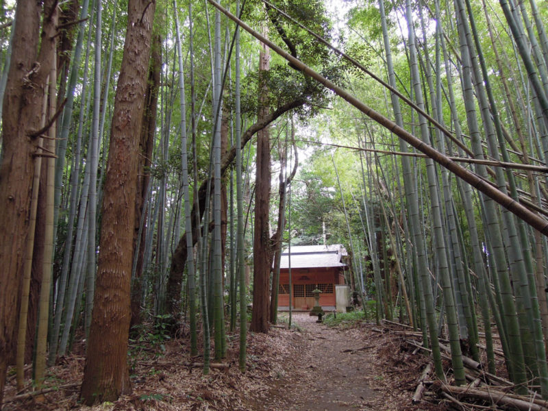 星神社（大生城）参道