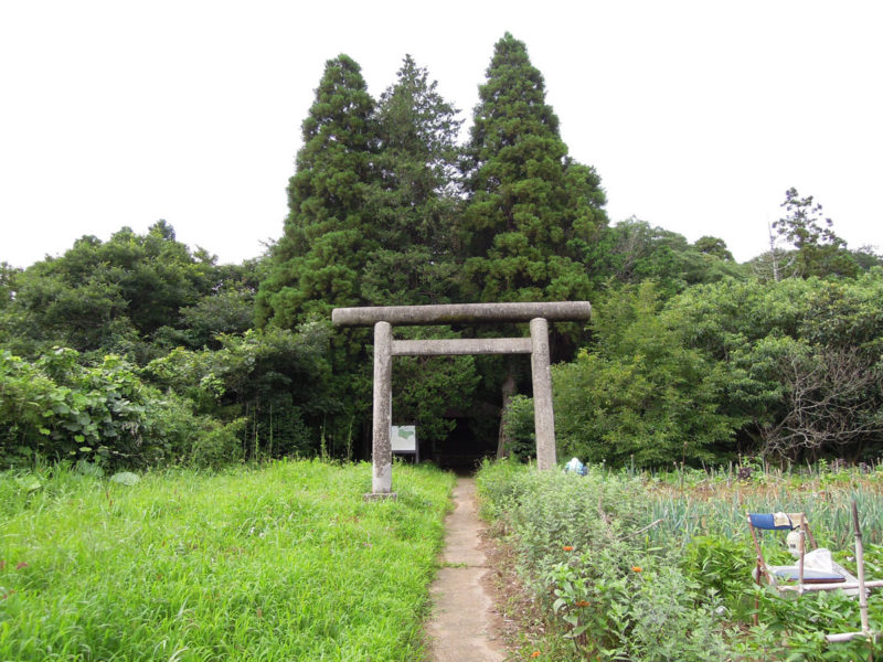 星神社（東和泉城）鳥居