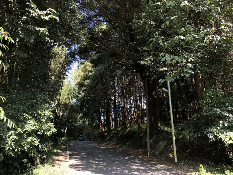 熊本 兎谷 金山彦神社前 道路