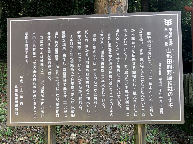 玉名山部田熊野座神社 神木 ナギ 説明書