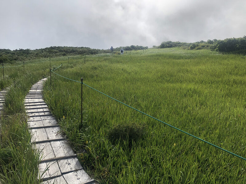 月山 弥陀ヶ原湿原