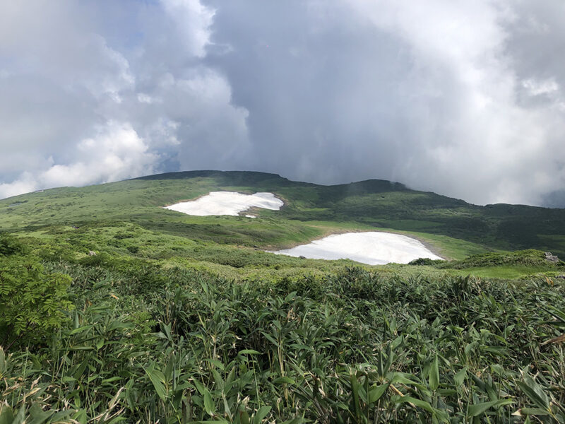 月山 雪渓