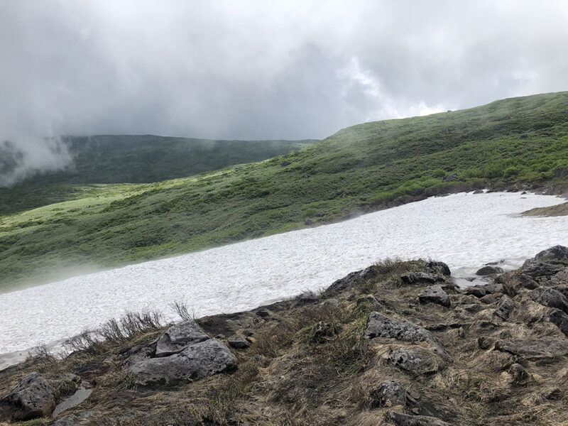 月山 雪渓