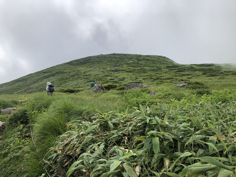 月山 仏生池からオモワシ山