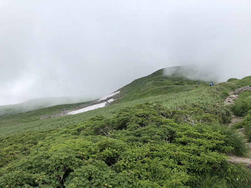 月山 仏生池からオモワシ山