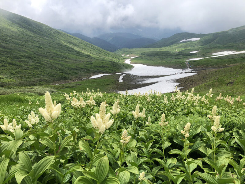 月山 牛首付近 雪渓