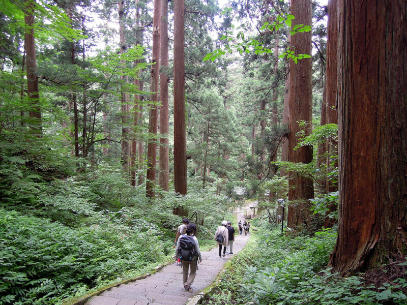 羽黒山 継子坂