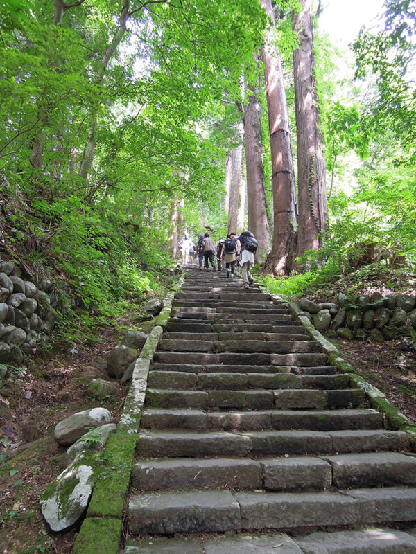 羽黒山 表参道