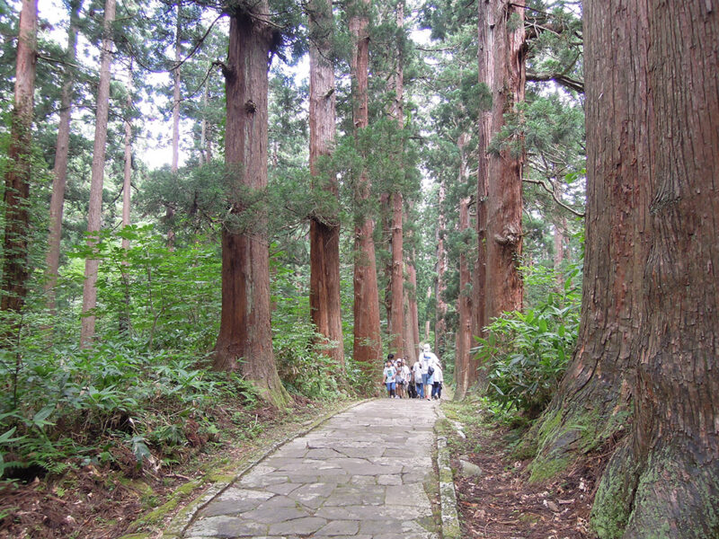 羽黒山 表参道