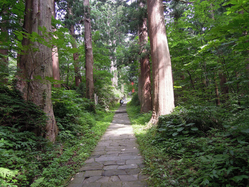 羽黒山 表参道