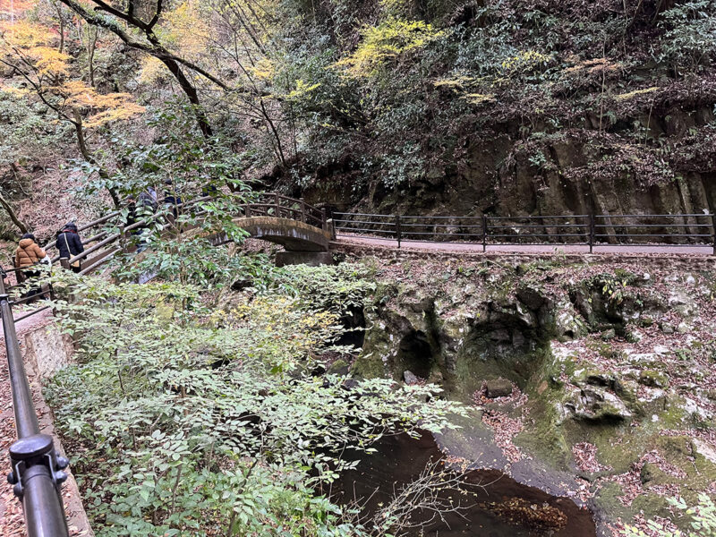 天岩戸神社 岩戸川