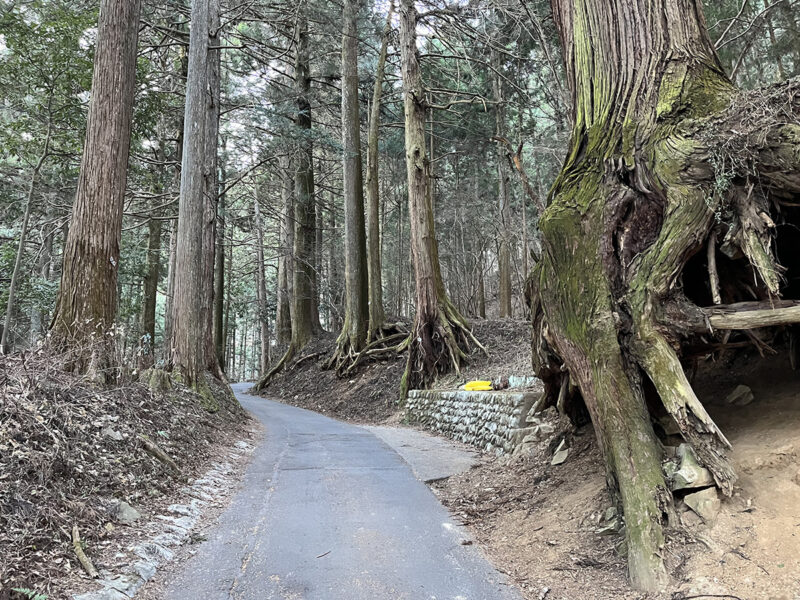 御嶽神社 登山道