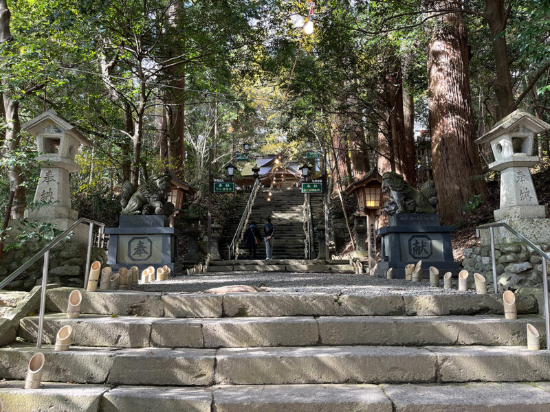 高千穂神社 参道階段